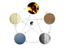 5 Elements of TCM: From the ActiveHerb.com blog