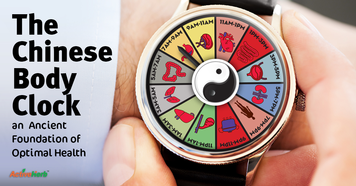 Ancient Secrets of “The Chinese Clock” Activeherb Blog