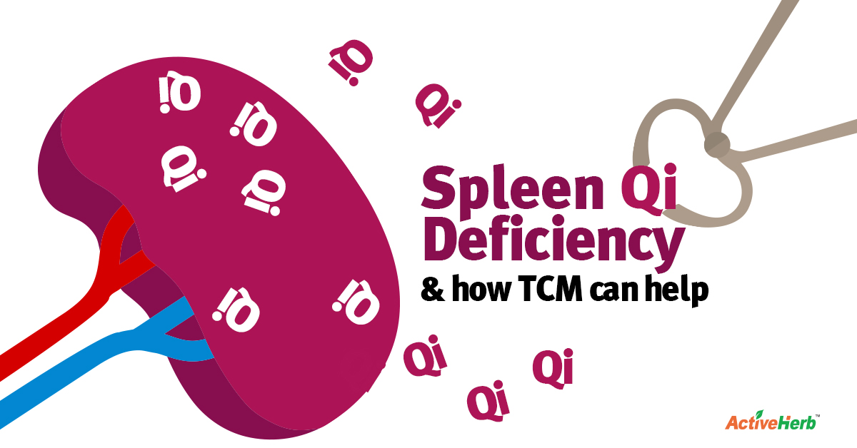 Spleen Qi Deficiency What Is It And How Can TCM Help It