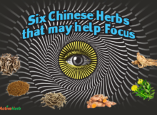 Chinese herbs to support cognitive function