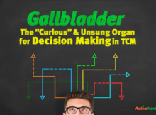What does the gallbladder do in TCM?