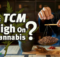 Cannabis in TCM