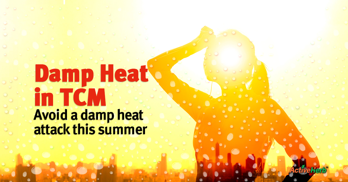 What Is Damp Heat in TCM & How Do You Know If You Have It? Activeherb
