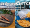 Cordyceps in TCM