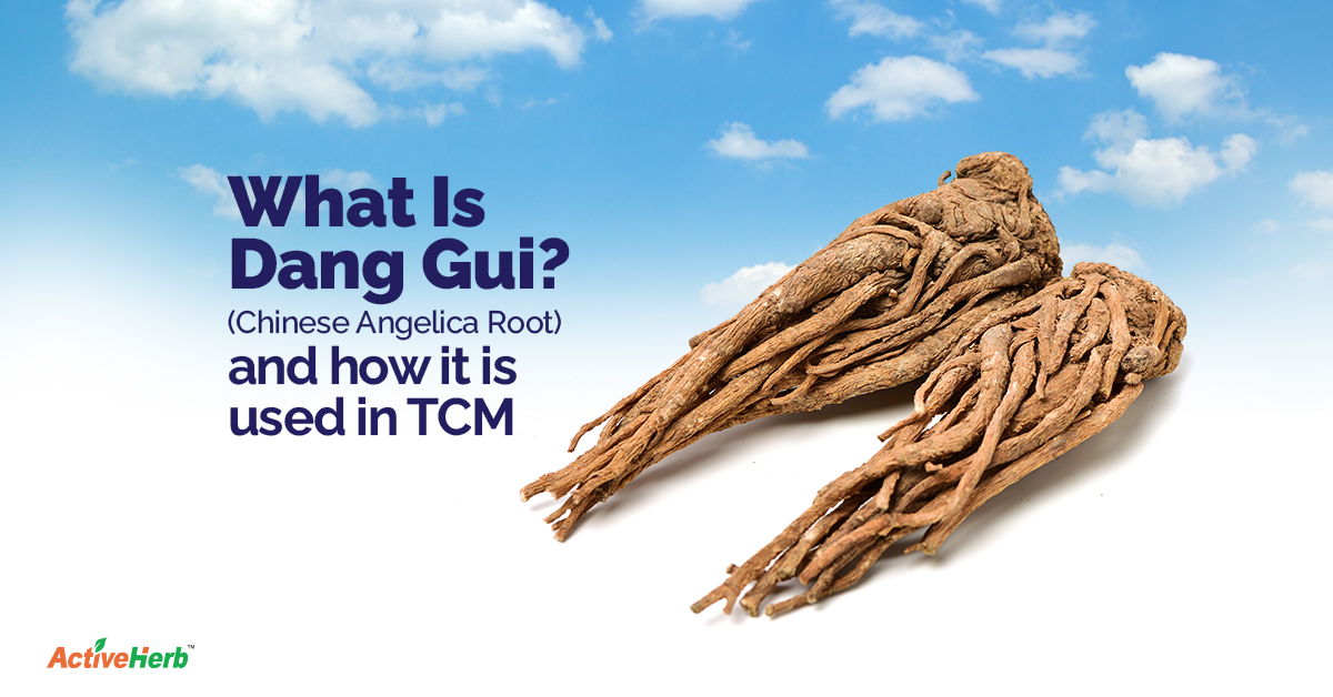 What Is Dang Gui (Chinese Angelica Root) Used For In TCM? Activeherb Blog
