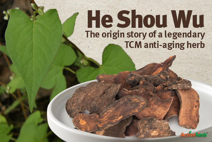 He Shou Wu: The Origin Story Of A Legendary TCM Anti-Aging Herb ...