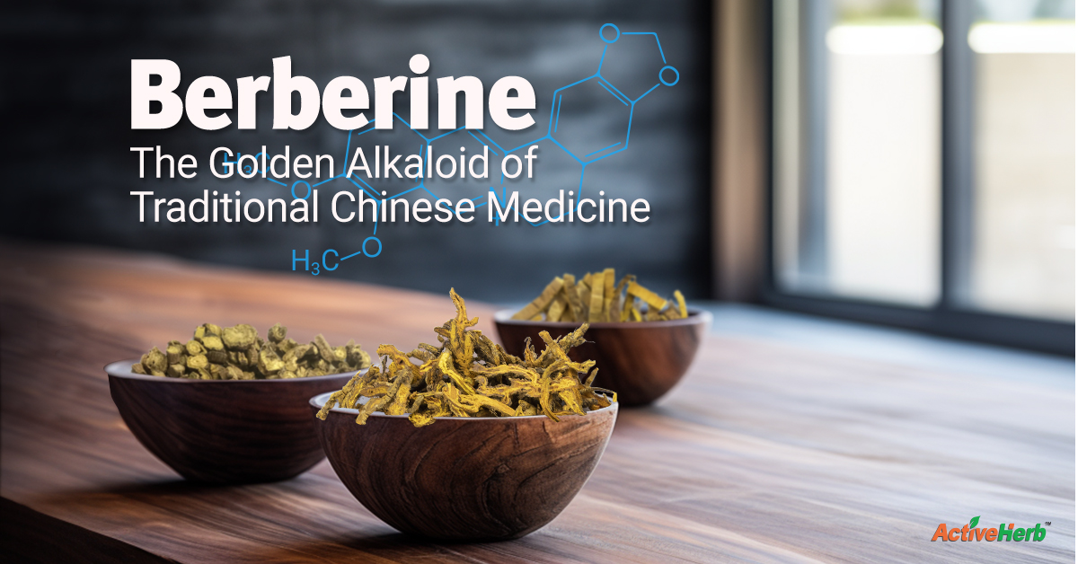 Berberine The Golden Alkaloid of Traditional Chinese Medicine Activeherb Blog