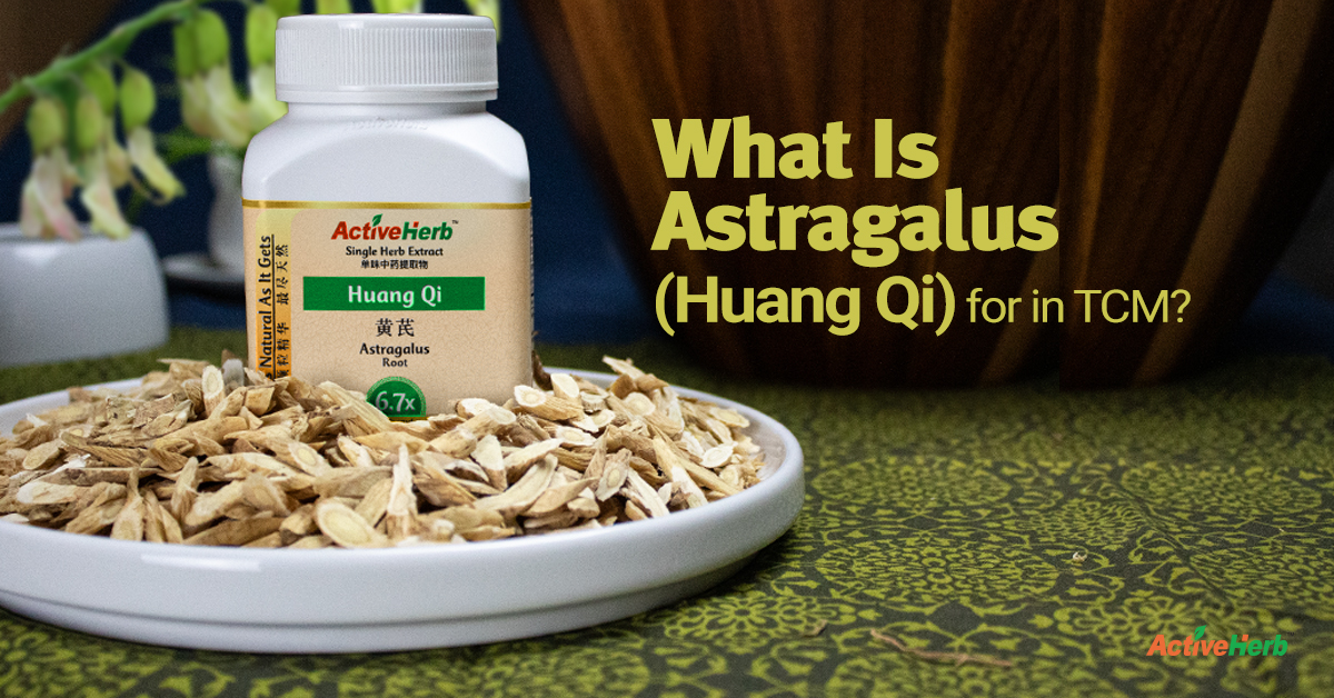 Astragalus (Huang Qi) in TCM The Best Herb For Immune Support