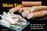Shan Yao
