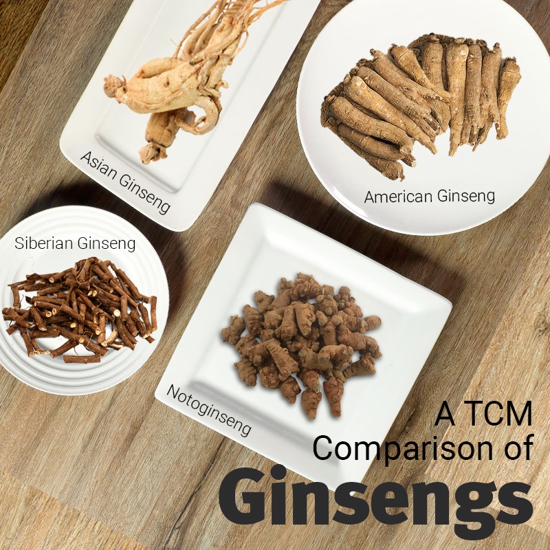 A TCM Comparison of Ginsengs