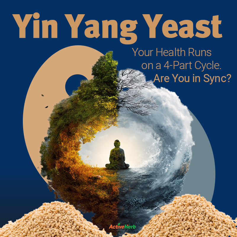 What Yeast Metabolism Can Teach Us About Yin, Yang & Your Health
