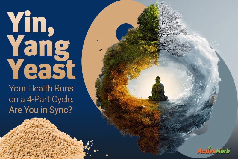 What Yeast Metabolism Can Teach Us About Yin, Yang & Your Health