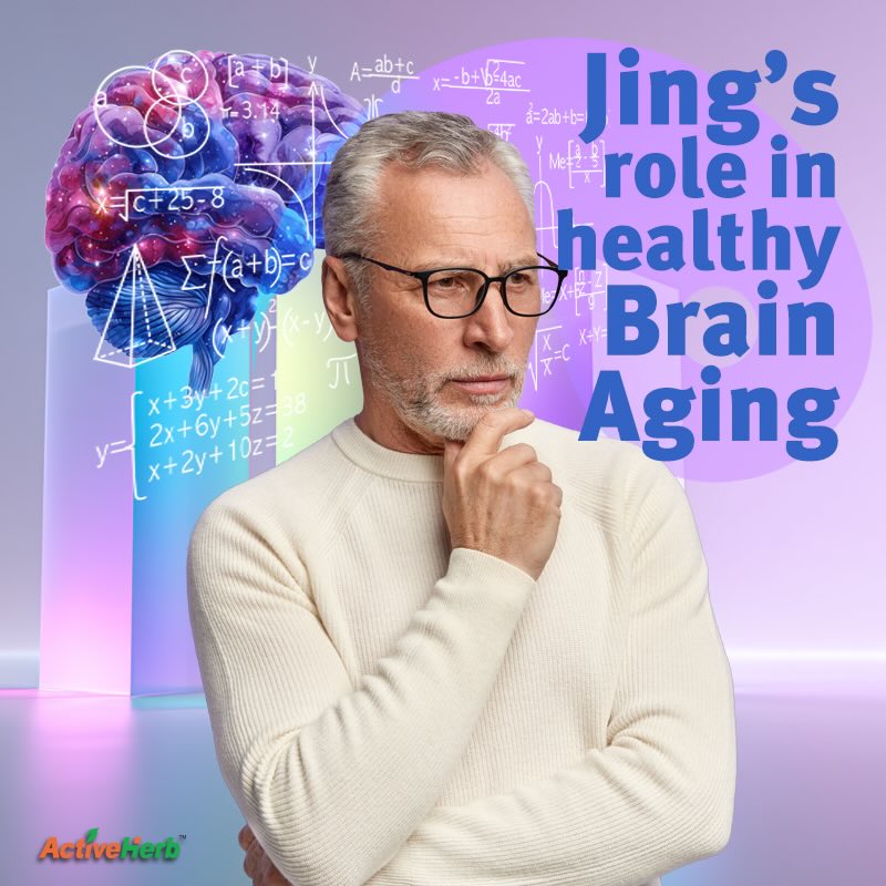 Got Jing? Preventing Brain Fog Depends On It