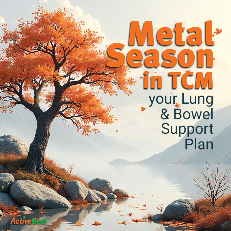 Metal Season Guide: Five-Element Support for Fall