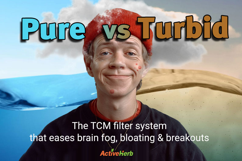 Pure vs Turbid: The TCM Filter System That Eases Brain Fog, Bloating and Breakouts
