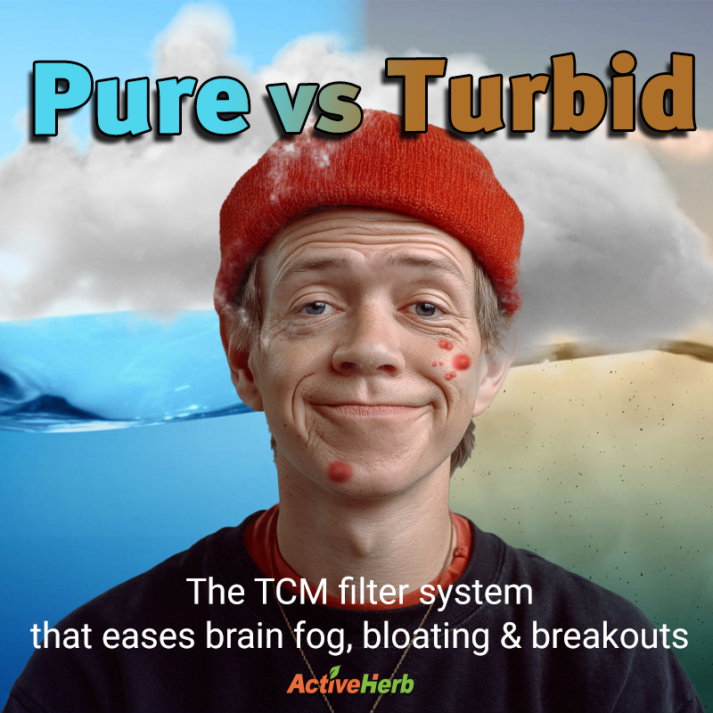 Pure vs Turbid: The TCM Filter System That Eases Brain Fog, Bloating and Breakouts