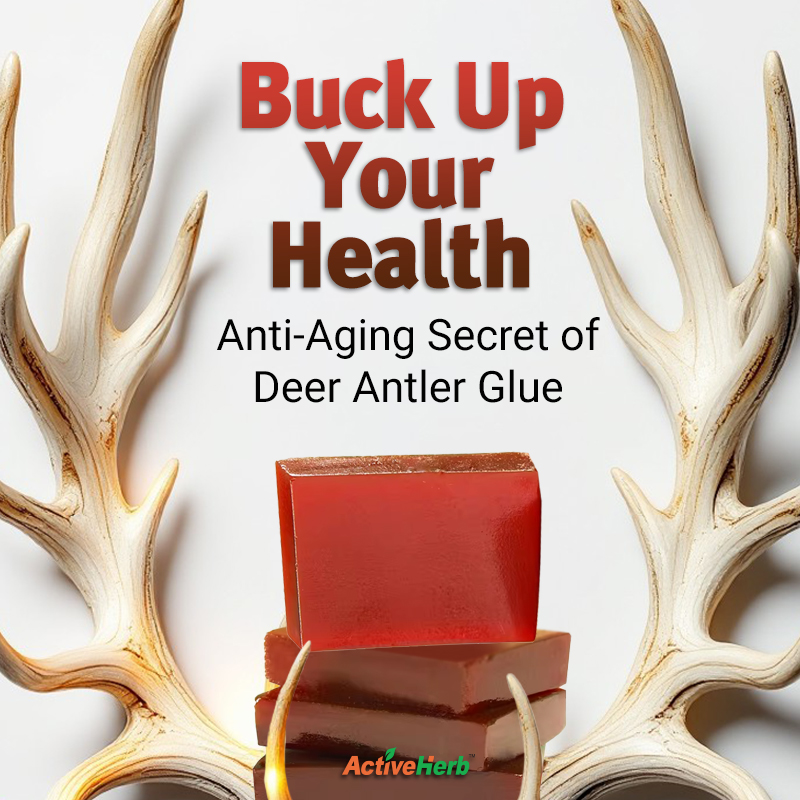 Buck Up Your Health: The Ancient Anti-Aging Secret of Deer Antler Glue