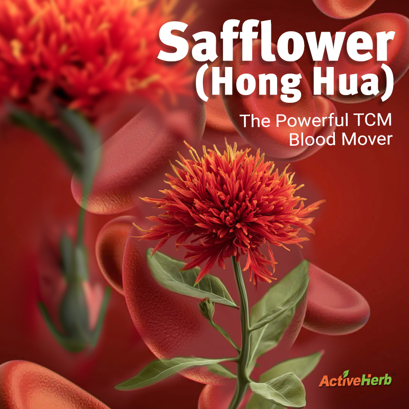 Safflower (Hong Hua): The Powerful TCM Blood Mover
