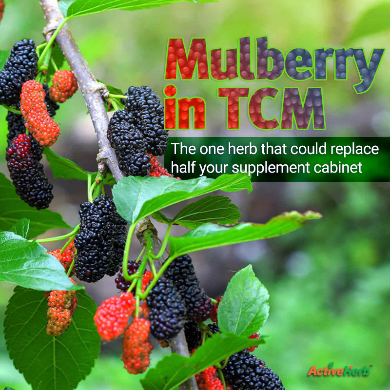 Mulberry in TCM: The One Herb That Could Replace Half Your Supplement Cabinet