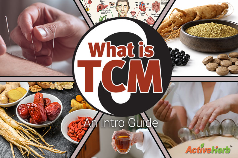 What is Traditional Chinese Medicine? An Intro Guide to TCM