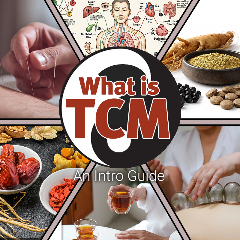 What is Traditional Chinese Medicine? An Intro Guide to TCM