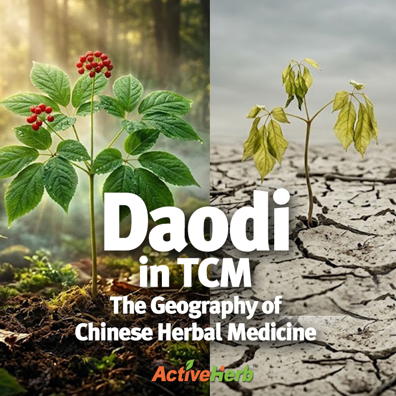 Daodi in TCM: The Geography of Chinese Herbal Medicine