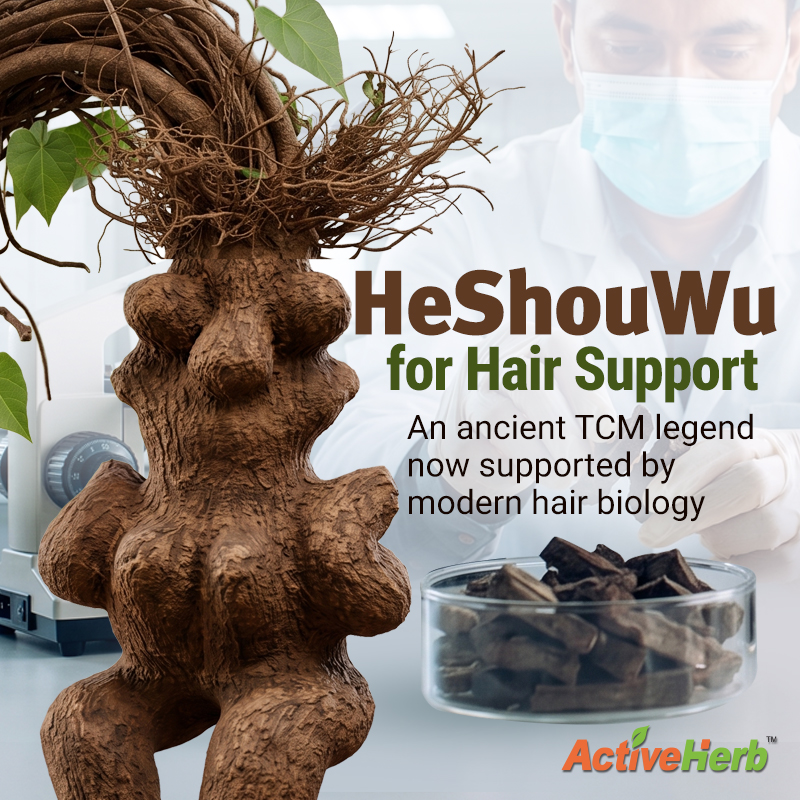 He Shou Wu for Hair Support: An Ancient TCM Legend Now Supported By Modern Hair Biology