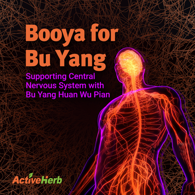 Booya! For Bu Yang: Supporting Central Nervous System With Bu Yang Huan Wu Pian