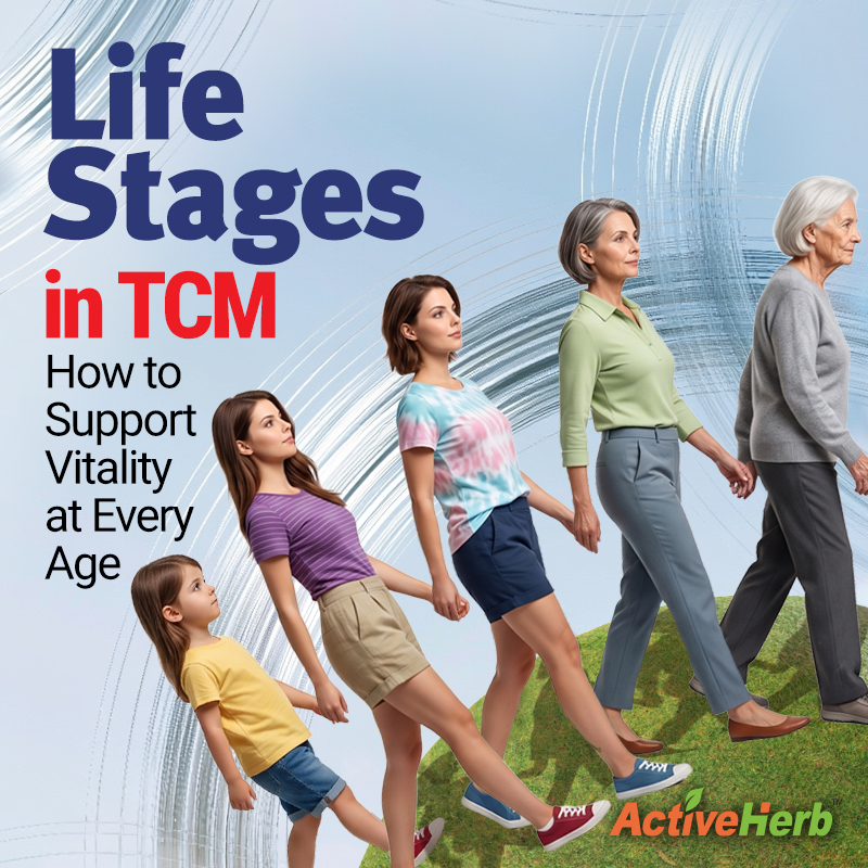 Life Stages in TCM: How to Support Healthy Aging & Vitality at Any Age
