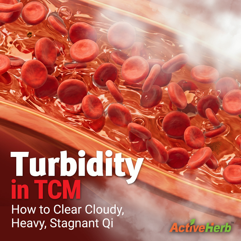 Turbidity in TCM: How to Clear Cloudy, Heavy, Stagnant Qi
