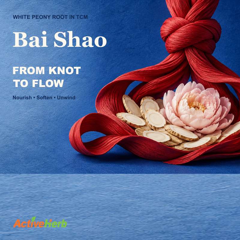 Bai Shao in TCM: White Peony Root for Tension, Cramps and Balance