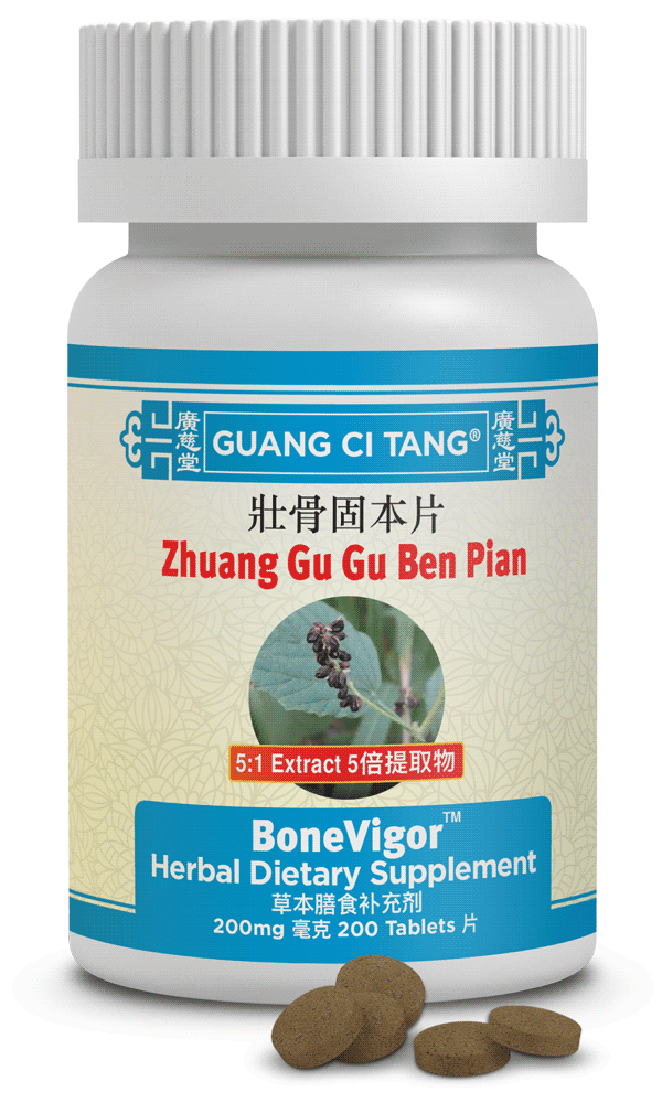 壮骨固本片 Zhuang Gu Gu Ben Pian Activeherb