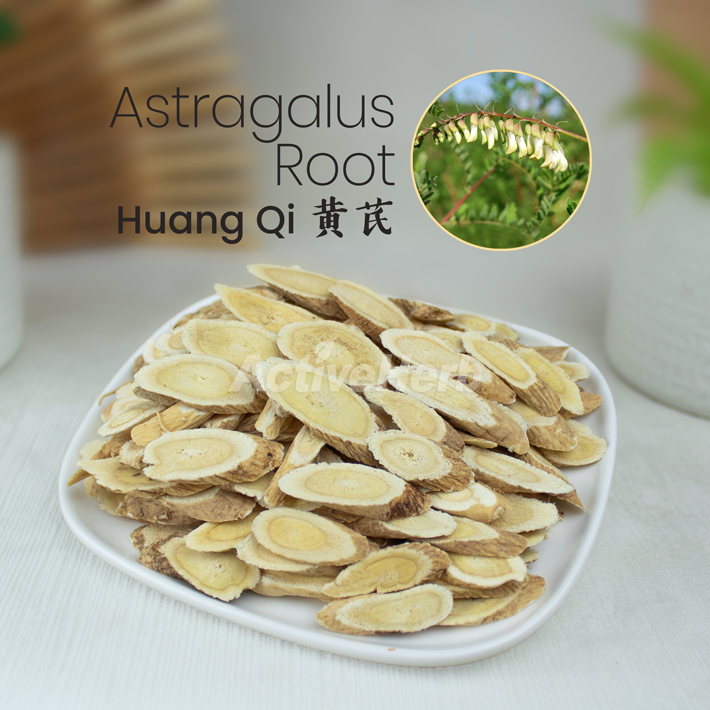 Huang Qi (Astragalus Root, Radix Astragali, 黄芪) bulk Chinese herb ...